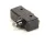 40938 Blodgett alternate view 3