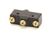 40938 Blodgett alternate view 5
