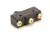 40938 Blodgett alternate view 5