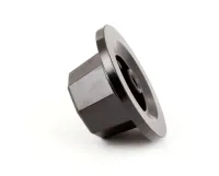 41006 Blodgett alternate view 6