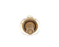 41595.0010 Bunn alternate view 4