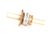 41595.0013 Bunn alternate view 5