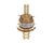 41595.0014 Bunn alternate view 3