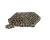 435797-01 Hoshizaki alternate view 5