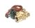 48100037155 Jackson alternate view 2