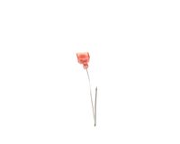 48254 Nemco alternate view 4