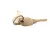 4A0460-01 Hoshizaki alternate view 3