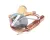 4A0922-01 Hoshizaki alternate view 2