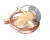 4A0922-01 Hoshizaki alternate view 4