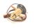4A1135-01 Hoshizaki alternate view 3
