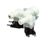 5025402 Alto Shaam alternate view 1