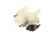 5025403 Alto Shaam alternate view 4