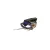 502588 Waring alternate view 5