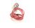 50265 Blodgett alternate view 4