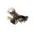 503158 Bertazzoni alternate view 3