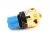50657 Blodgett alternate view 2