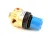 50657 Blodgett alternate view 4