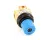 50657 Blodgett alternate view 5