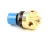 50657 Blodgett alternate view 6