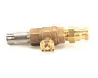 50907 Blodgett alternate view 2