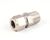 50914 Blodgett alternate view 3