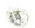 50954 Blodgett alternate view 2