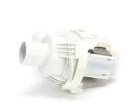 50954 Blodgett alternate view 5