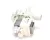 50954 Blodgett alternate view 6