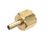 52754 Blodgett alternate view 5