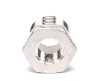 55112 Blodgett alternate view 6