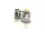 55131 Blodgett alternate view 4