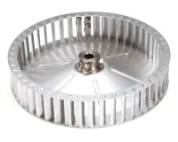 55346 Blodgett alternate view 5