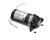 560002164 Cornelius alternate view 1