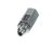 560002991 Cornelius alternate view 2