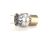560003493 Cornelius alternate view 1