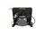 560003705 Cornelius alternate view 5