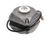 560004360 Cornelius alternate view 3