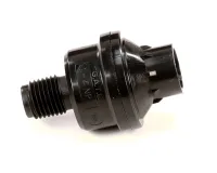 58347 Blodgett alternate view 2