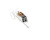59300114943 Jackson alternate view 2