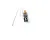 59300114943 Jackson alternate view 6