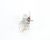 60125401 Anets alternate view 4