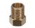 60921 Blodgett alternate view 5