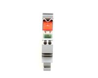 61079 Blodgett alternate view 4