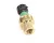 620314539 Cornelius alternate view 4