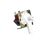 638032762 Cornelius alternate view 4