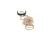 64010030673 Jackson alternate view 4