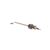 67068 Schaerer alternate view 1