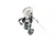 720703901 Cornelius alternate view 6