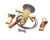 72261 Structural Concepts alternate view 1