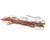 77645 Structural Concepts alternate view 3